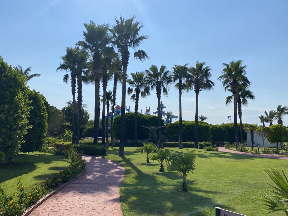 Gartenanlage Hotel Miracle Resort