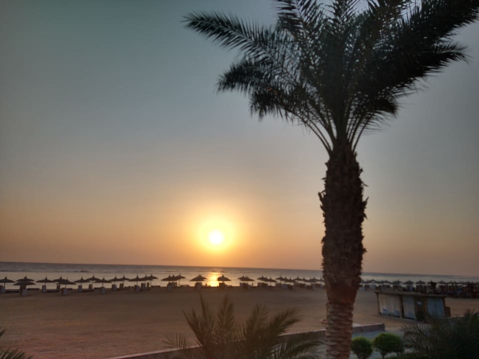 Ausblick Novotel Marsa Alam Beach Resort