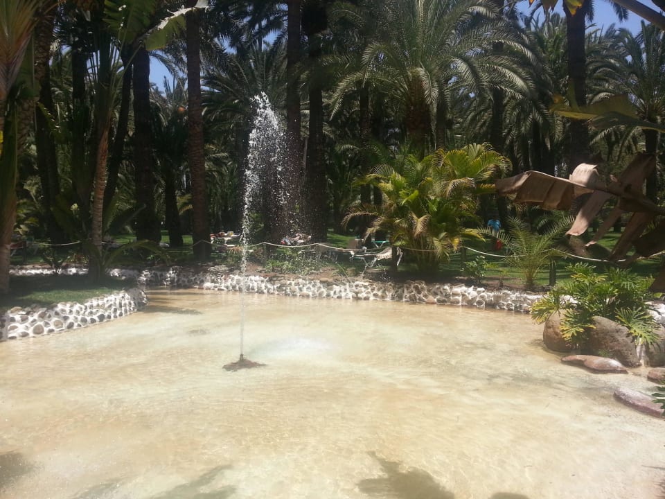 Ohne Worte Hotel Riu Palace Oasis