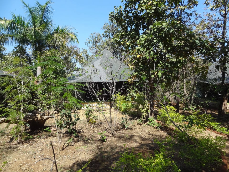 Wohnzelt mit Garten Pench Jungle Camp