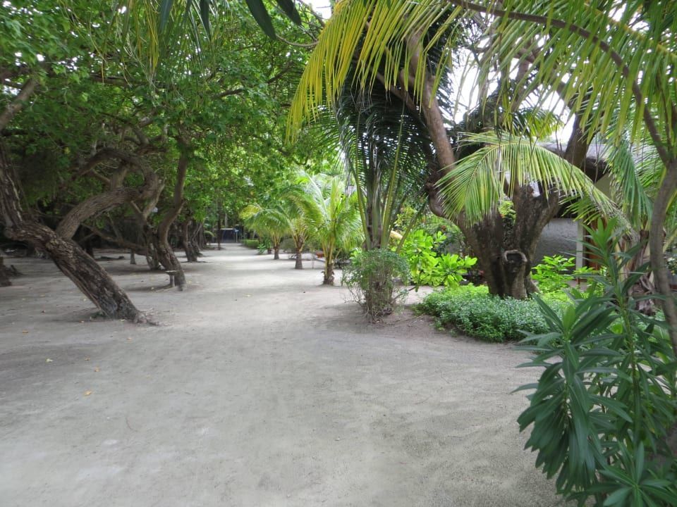 Spaziergang am Strand und den Beachvillen Adaaran Select Hudhuran Fushi - Premium All Inclusive
