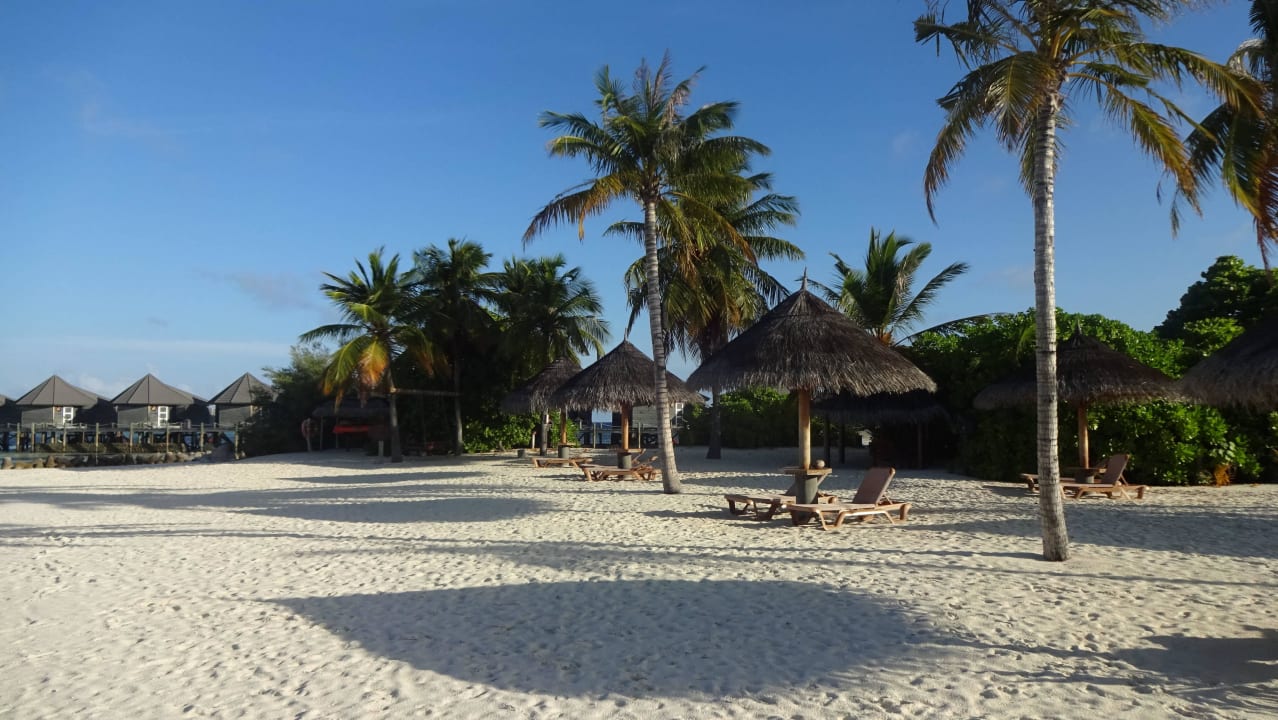 Liegen an der Landzunge Kuredu Island Resort & Spa
