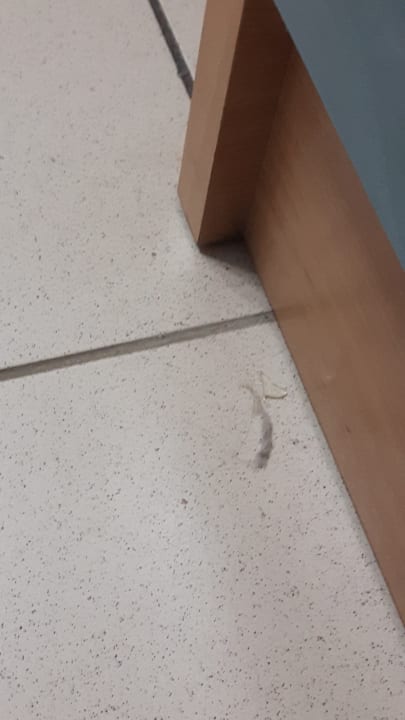 Zimmer Hotel Corina & Paloma Garden