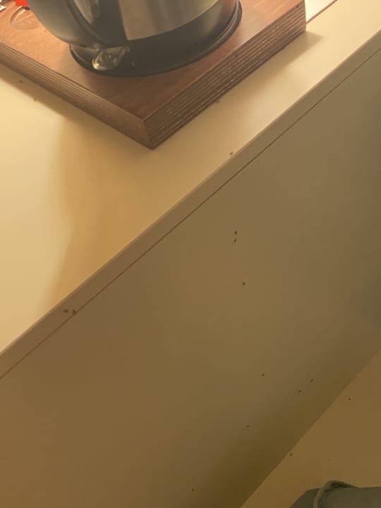 Zimmer Monachus Family Resort Sorgun