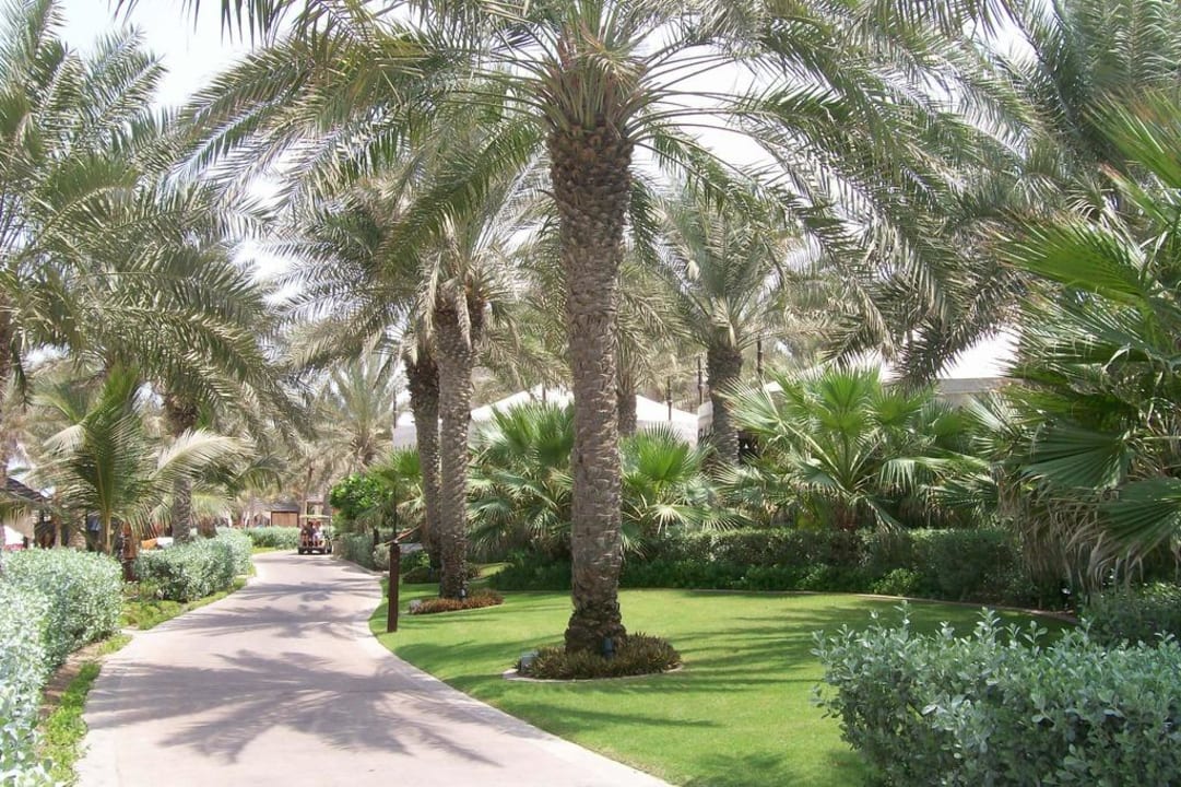 Schön gepflegte Gartenanlage Jumeirah Al Qasr