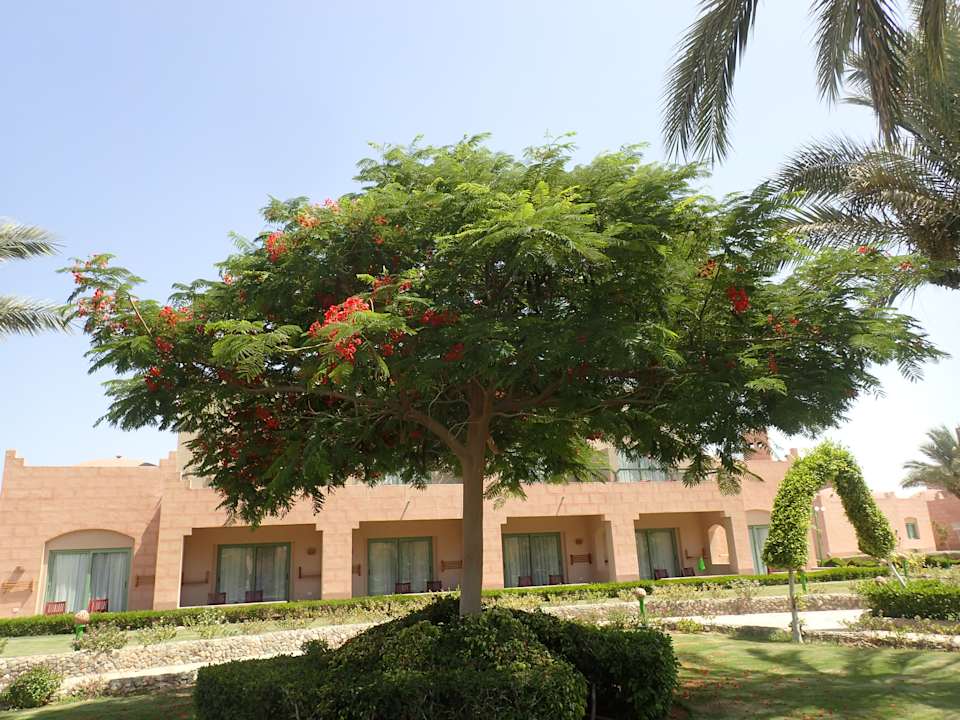 Gartenanlage Sentido Akassia Beach