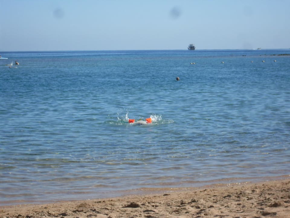 Meer Jaz Makadi Oasis Resort