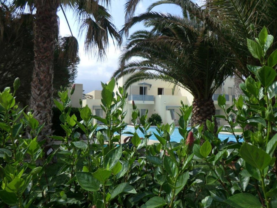 Pool und Garten Phãea Cretan Malia