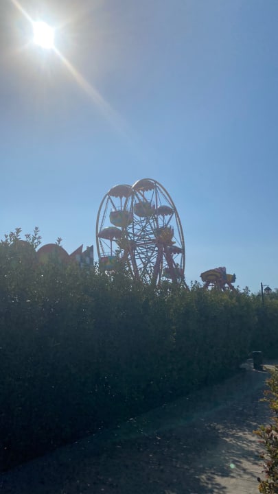 Sport & Freizeit Adalya Elite Lara