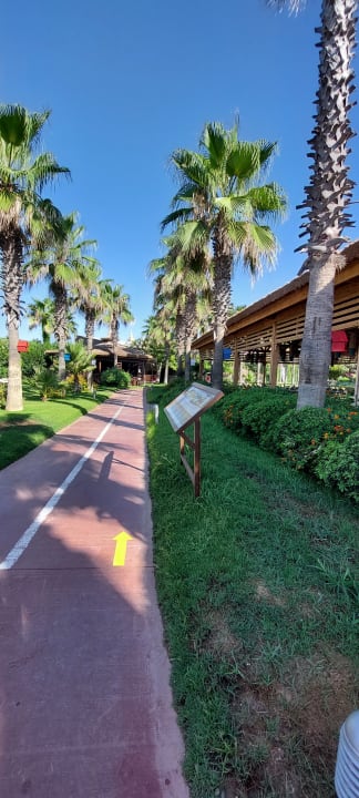 Gartenanlage Saturn Palace Resort Hotel