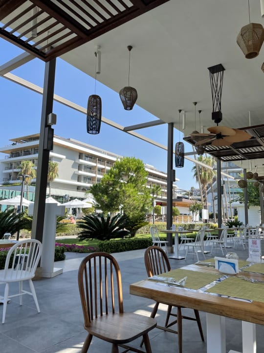 Gastro Acanthus Cennet Barut Collection