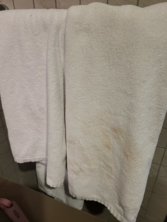 Zimmer Arycanda Kirman Premium