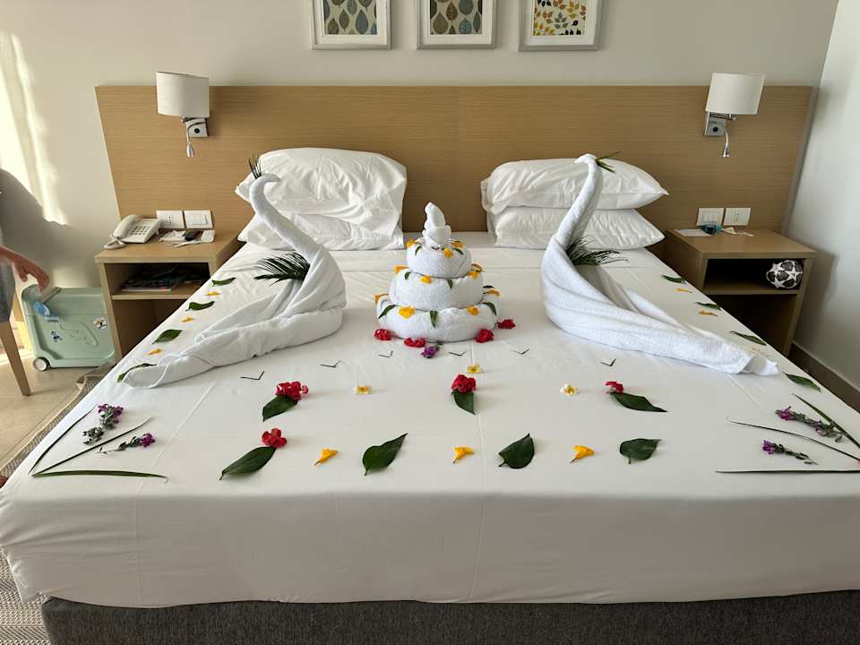 Zimmer JAZ Elite Asteria