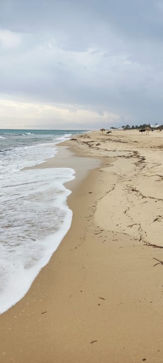 Strand Hotel Royal Nozha