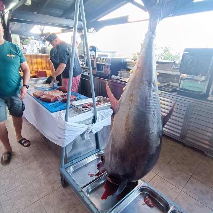 Gastro Hotel Kalithea Horizon Royal