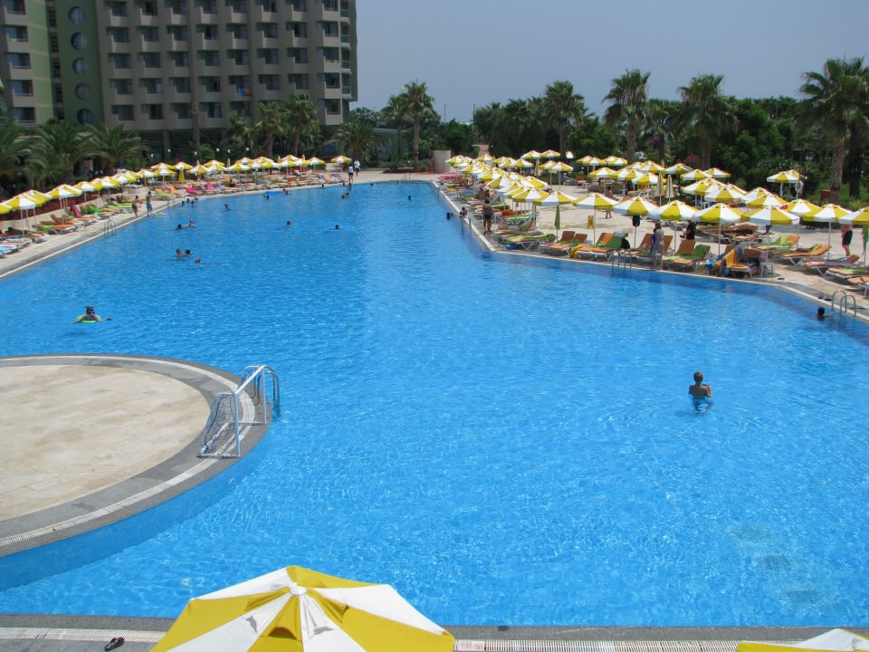 Animationspool, da läuft immer etwas VONRESORT Golden Coast