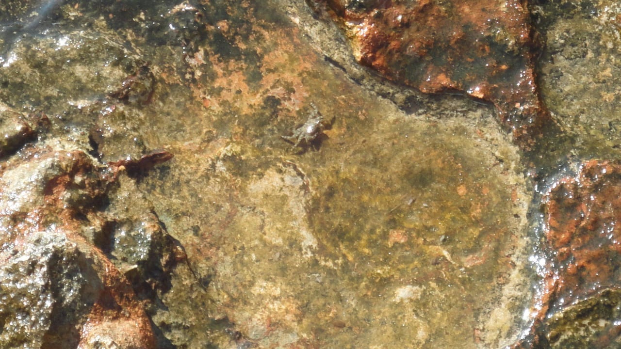 Ausblick Hotel Gran Sol