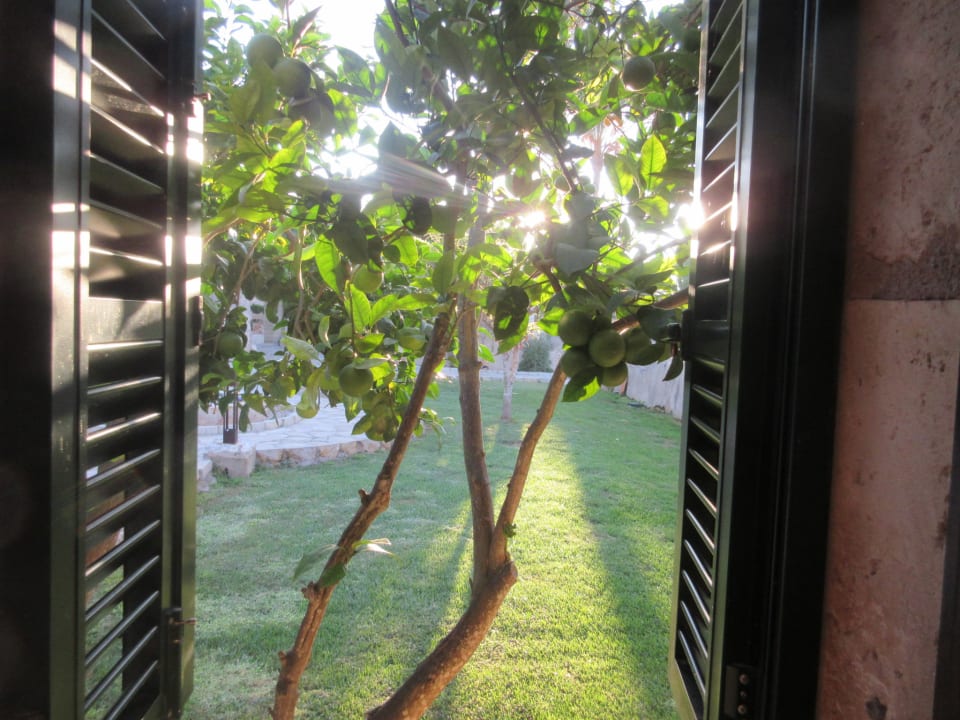 Gartenanlage Hotel Son Trobat Wellness & Spa