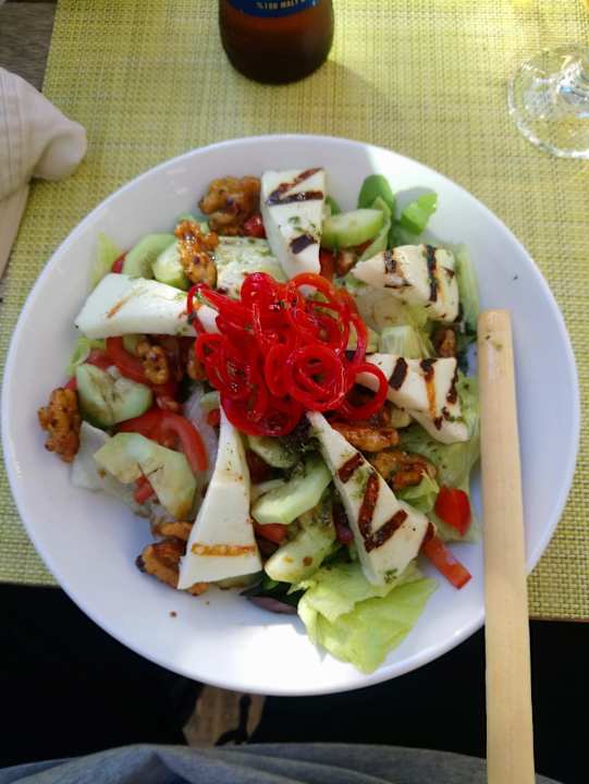 Gastro Acanthus Cennet Barut Collection