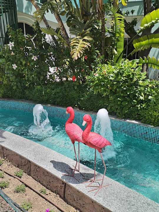 Gartenanlage Hotel Delphin Imperial
