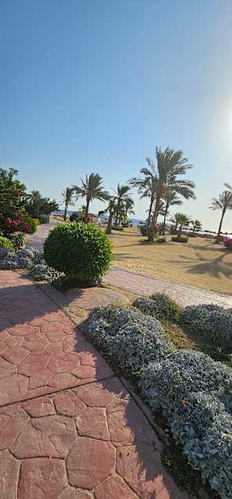 Gartenanlage Wadi Lahmy Azur Resort
