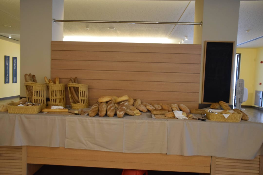 Magico Atlantica Plimmiri