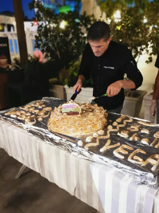 Gastro Seashell Vega