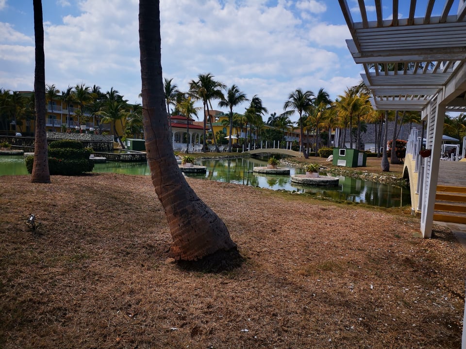 Gartenanlage Melia Las Antillas - Adults only