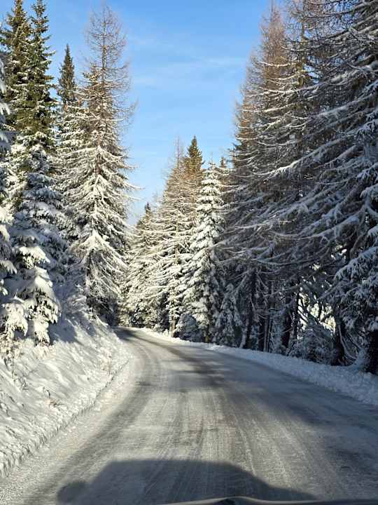 Ausblick Mountain Resort Feuerberg