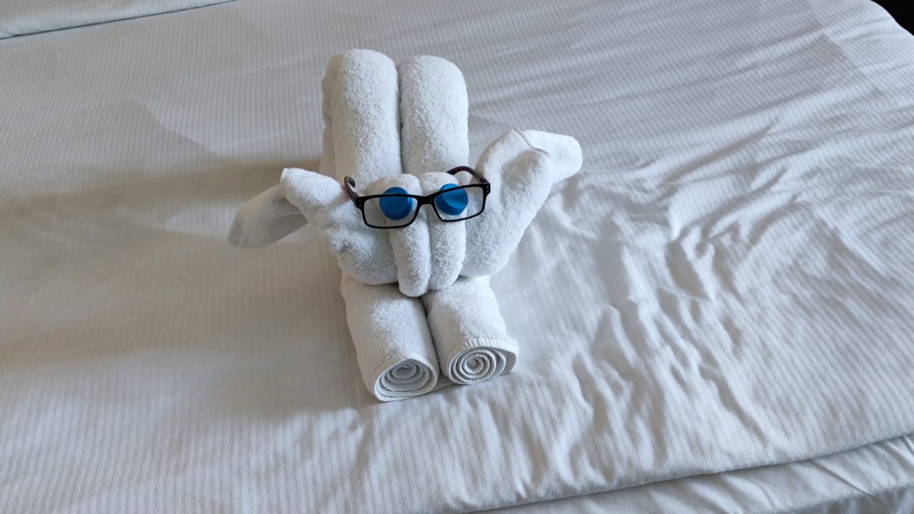 Zimmer Coral Sun Beach