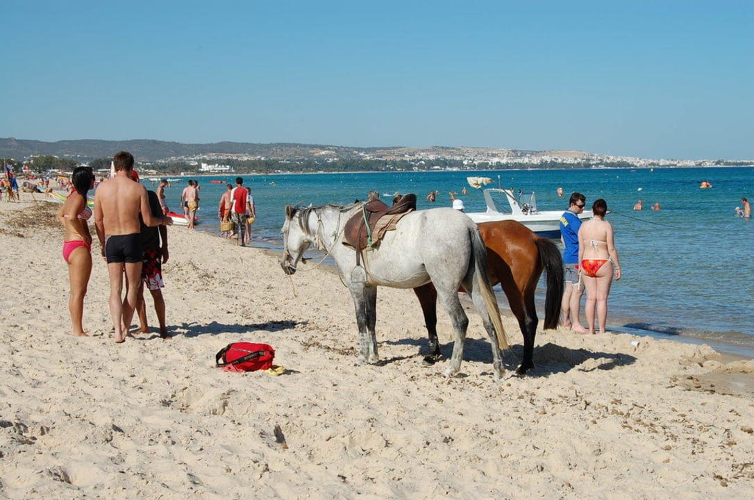 Strand Hotel Nesrine