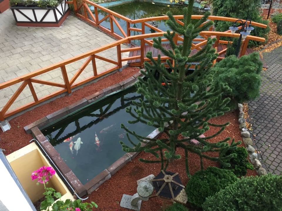 Blick vom Zimmer  Hotel 3 Linden