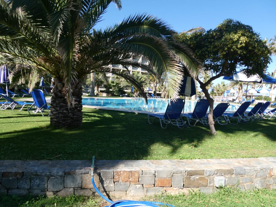 Pool Calimera Sirens Beach