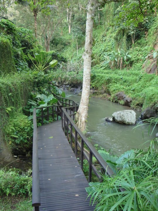 Schöner Naturpfad Maya Ubud Resort & Spa Bali