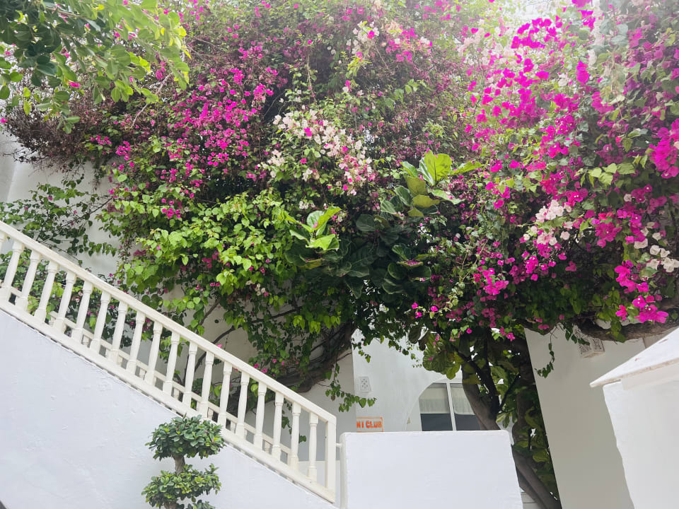 Gartenanlage The Orangers Beach Resort and Bungalows
