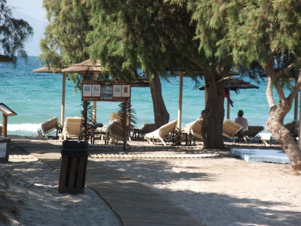 Blick zum Meer TUI BLUE Palazzo del Mare