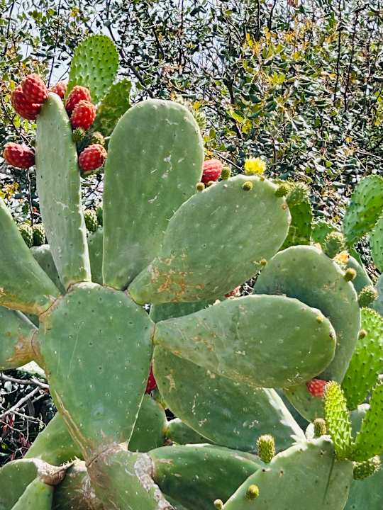 Sonstiges Riviera Spa Resort - Adults Only