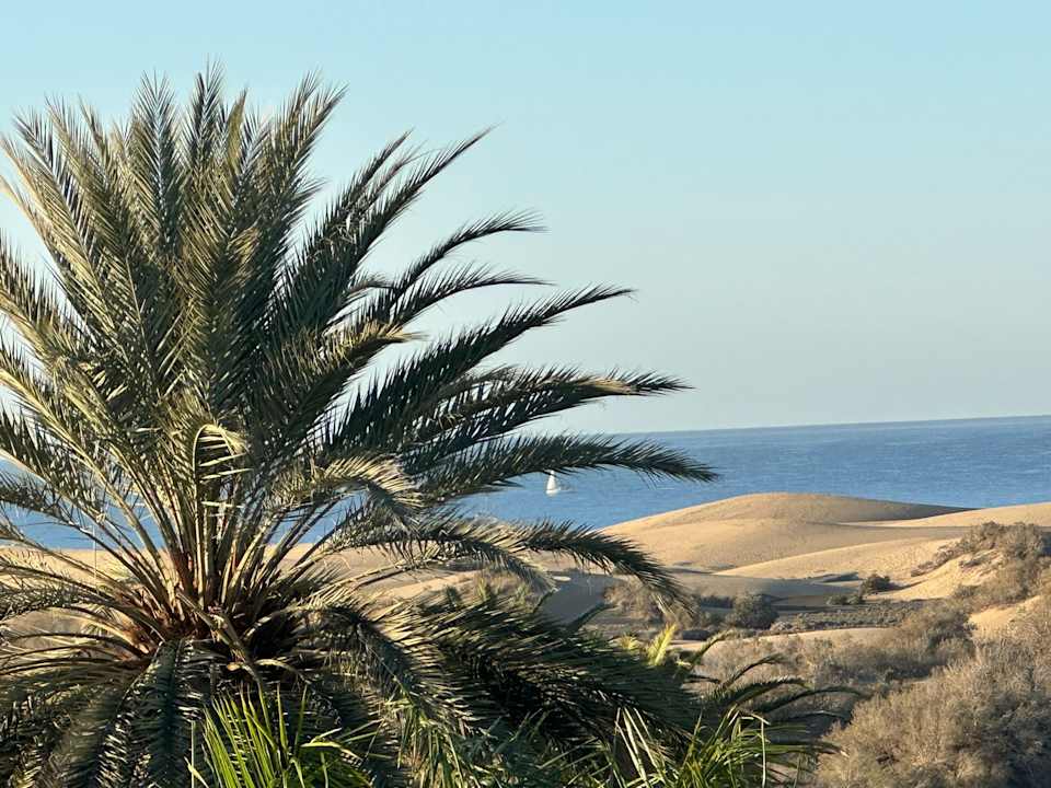 Ausblick Hotel Riu Palace Maspalomas Adults Only