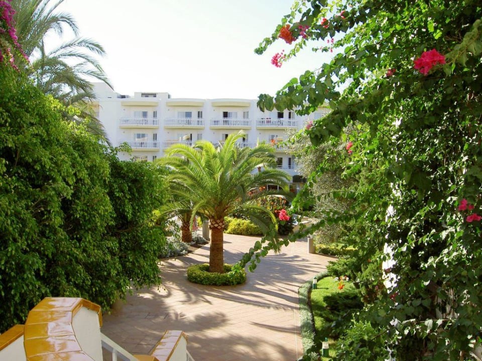 Gartenanlage Iberostar Selection Albufera Park