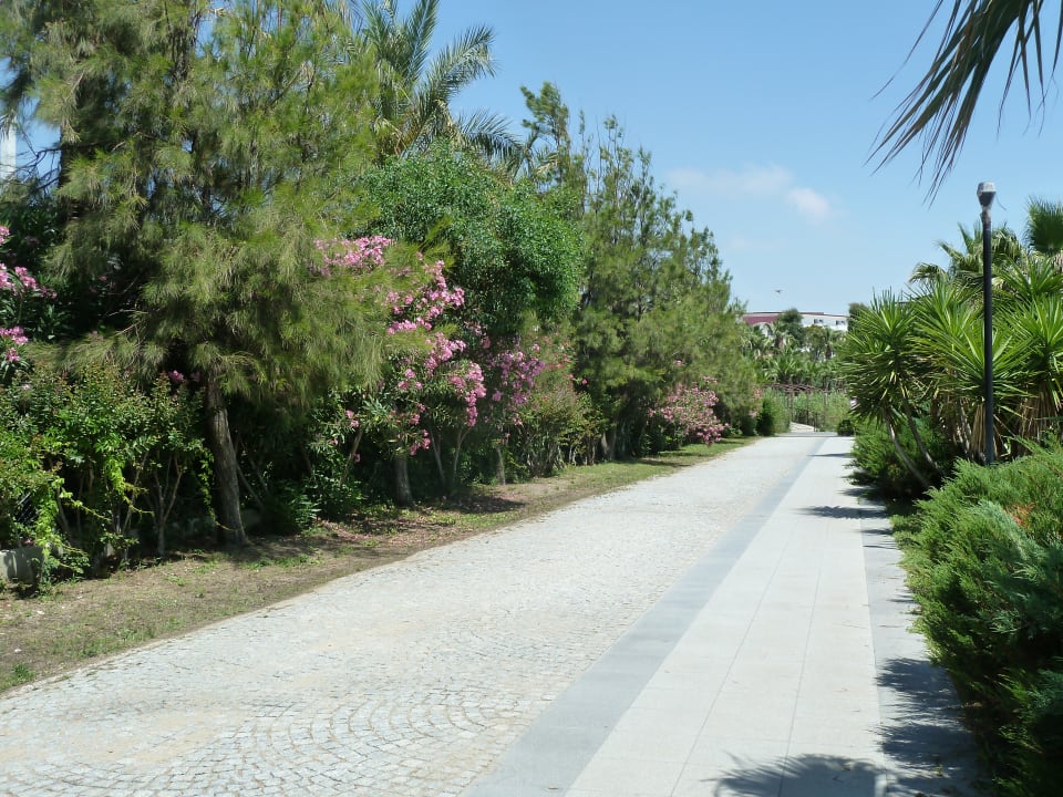 Strand Castival Hotel