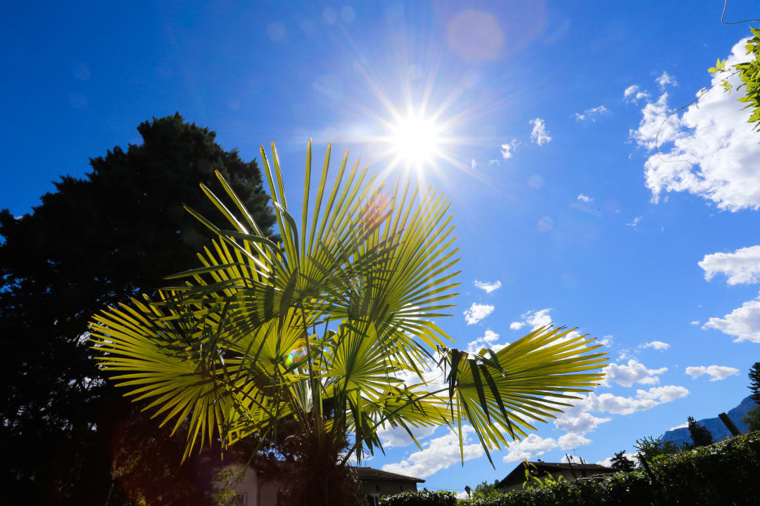 Ausblick Garni Meinrad