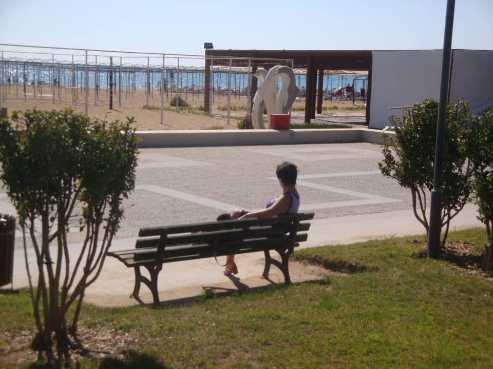 Strandpromenade Sentido Trendy Verbena Beach