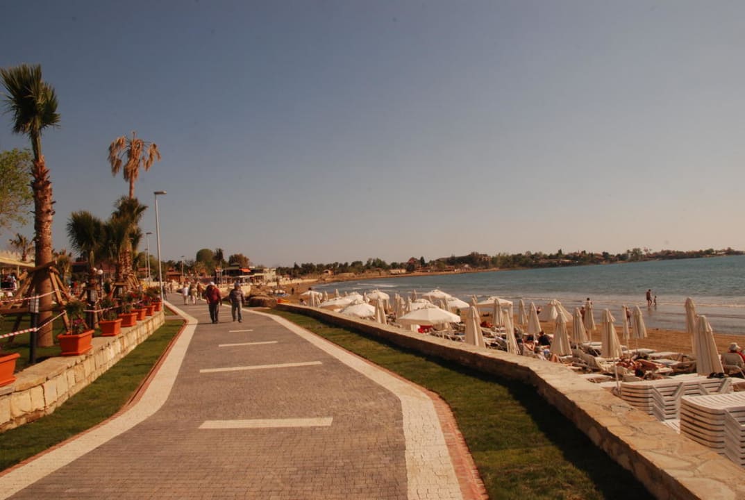 Promenade Fertig Hotel Side Star Park
