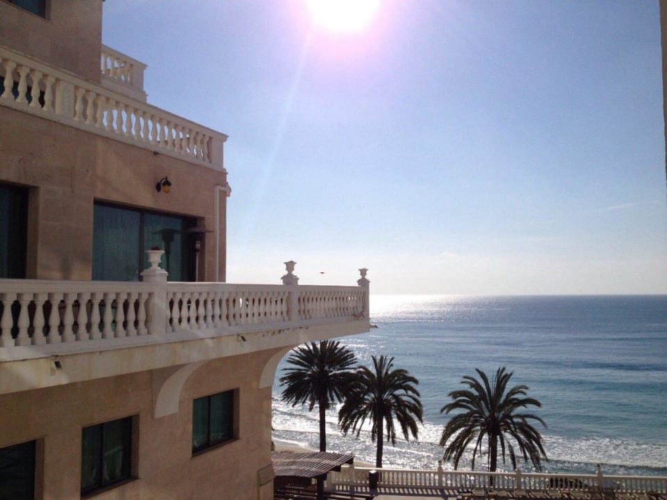 Ausblick aus dem Zimmer Be Live Marivent - Adults only