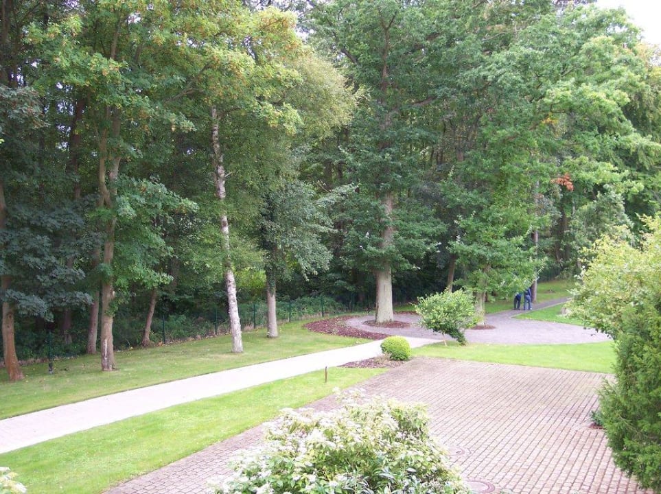 Aus dem Zimmer in die Gartenanlage Hotel Bernstein Prerow