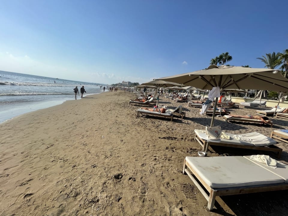 Strand Acanthus Cennet Barut Collection