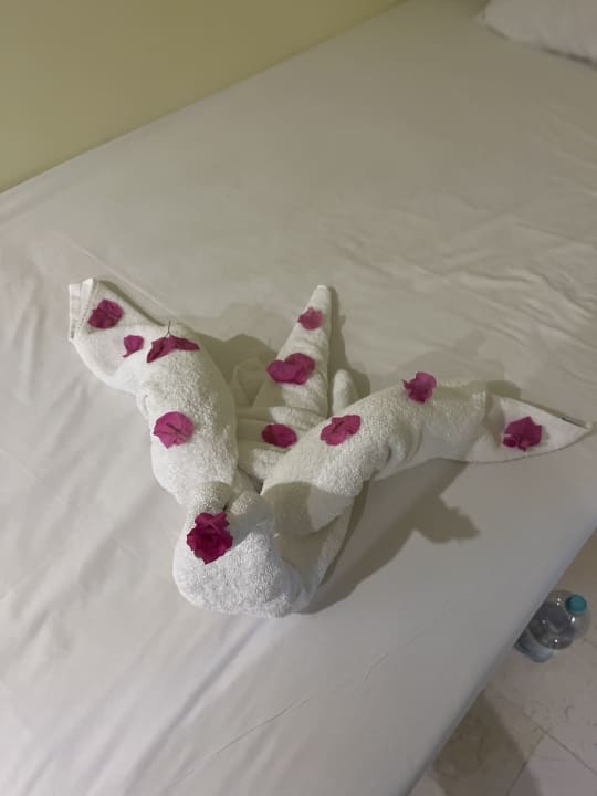 Zimmer Casa Mare Resort