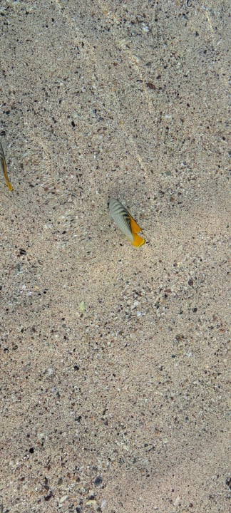 Strand Radisson Blu Resort, El Quseir