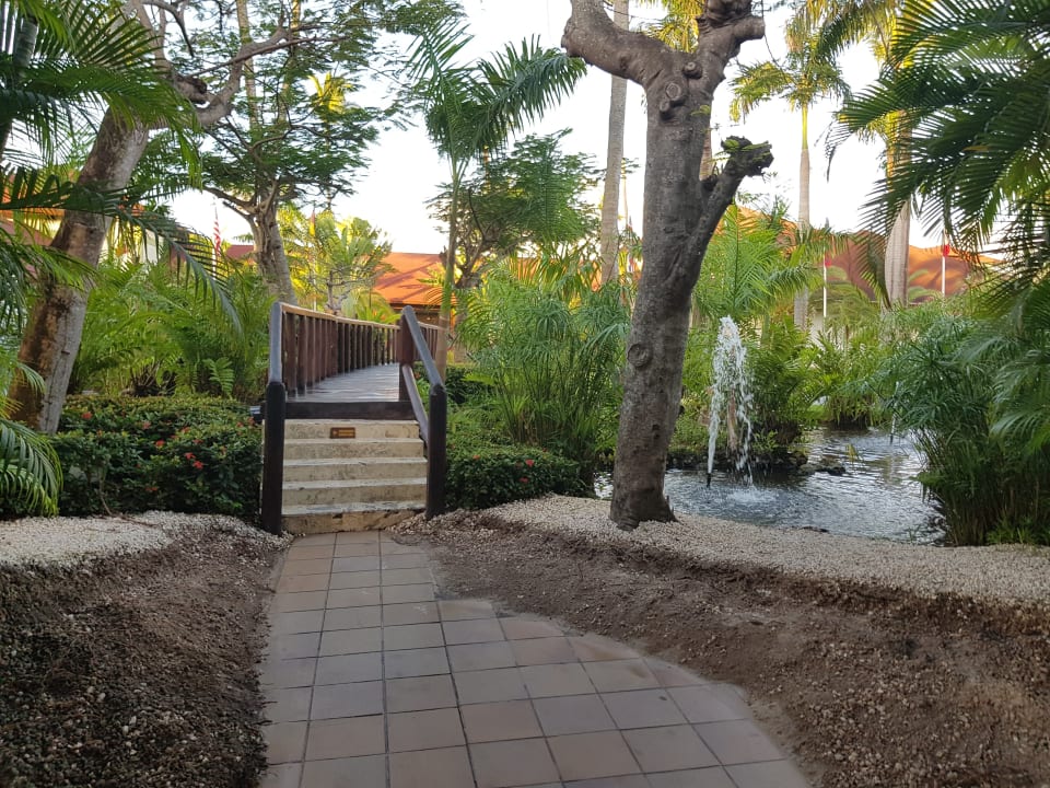 Gartenanlage Hotel Grand Palladium Palace Resort, Spa & Casino