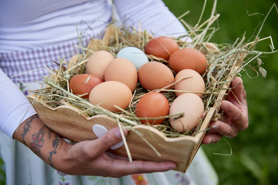 Sonstiges FONTIS luxury spa lodge